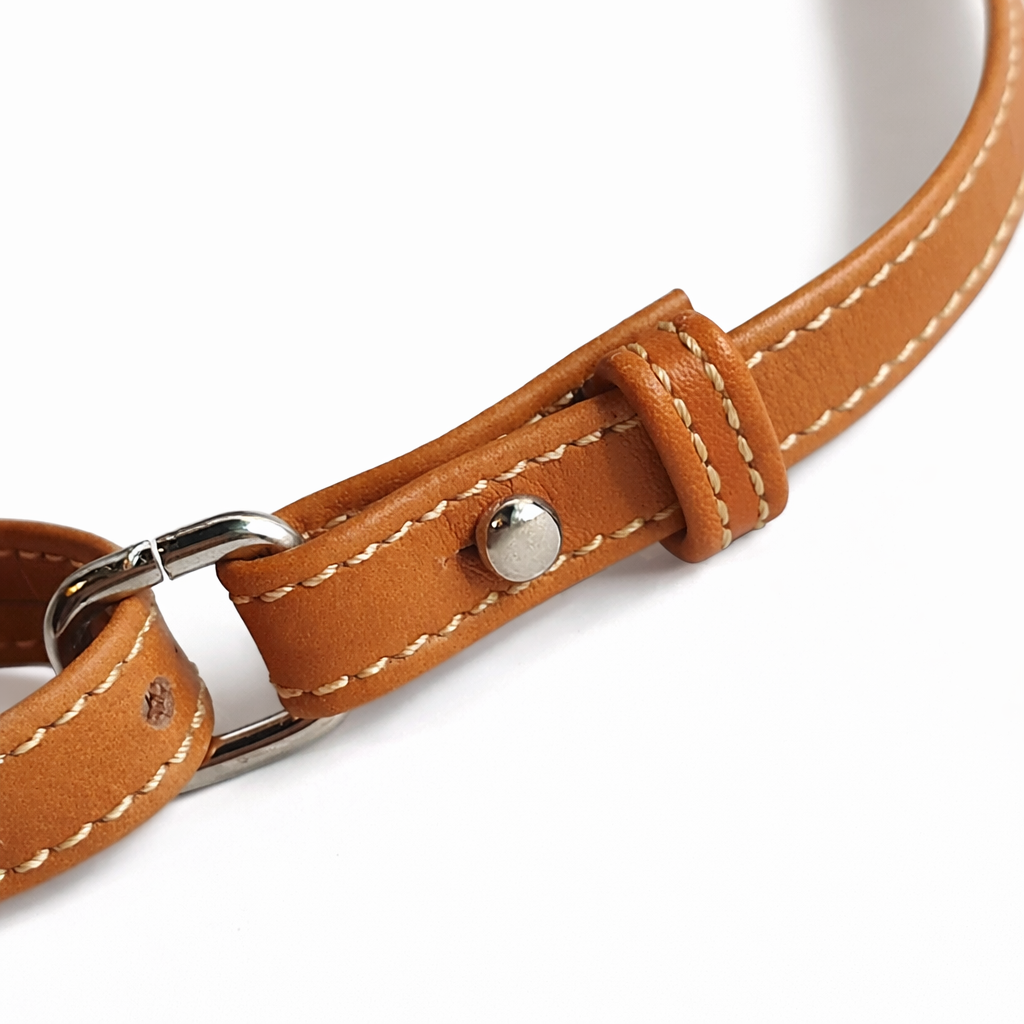 Detalle de correa de cuero ANI